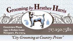 A business card made for a friends dog grooming boutique.