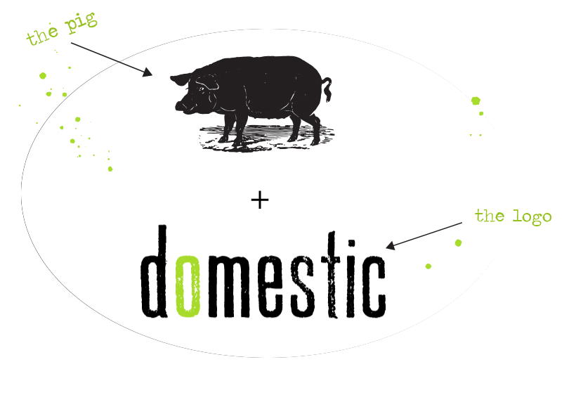 domestic logo